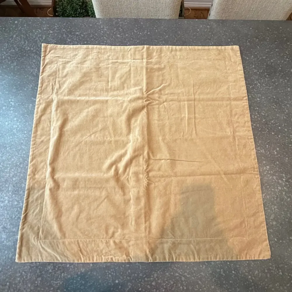 Two Pottery Barn Velvet Pillow Covers 20